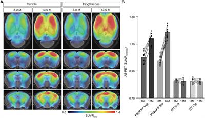 Chronic PPARγ Stimulation Shifts Amyloidosis to Higher Fibrillarity but Improves Cognition